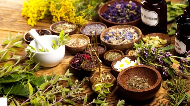 Herbs inspection.jpg
